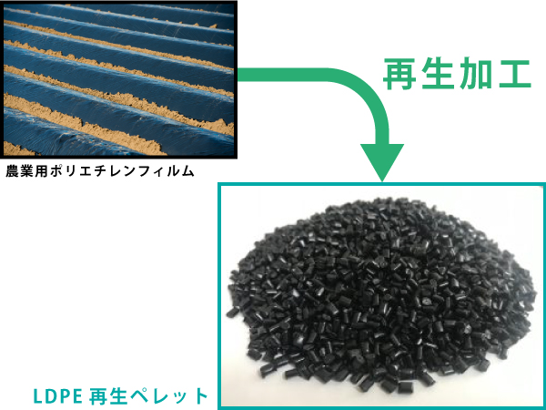 製造工程